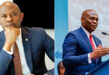 Tony Elumelu Reveals Secret to Success: ‘Luck Played a Major Role in My Journey’