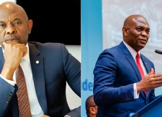 Tony Elumelu Reveals Secret to Success: ‘Luck Played a Major Role in My Journey’