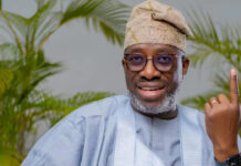 Sowunmi Forecasts Regional Strengths, Claims Tinubu Could Win 22 States in 2027 Poll
