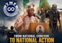 State Police Reform Gains Momentum as TMF Praises Senate, Tinubu’s Leadership