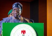 State Police Reform Gains Momentum as Presidency Finalises Framework for Constitutional Amendments