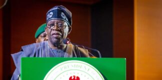 State Police Reform Gains Momentum as Presidency Finalises Framework for Constitutional Amendments