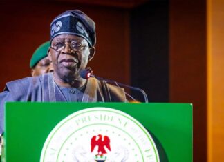 State Police Reform Gains Momentum as Presidency Finalises Framework for Constitutional Amendments