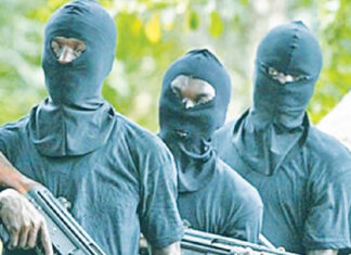 Terrorists Demand Release of Ansaru Leaders, ₦1bn Ransom for Abducted Oyo Pupils and Teachers