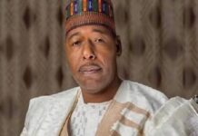 ‘Borno Won’t Allow Public Assets to Be Looted’ — Zulum Opposes Planned Sale of Chad Basin Equipment