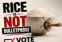 Rice Is Not Bulletproof: Why Nigerians Must Vote Beyond Stomach Infrastructure