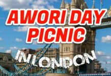 Awori Indigenes in Diaspora Set for Cultural Showcase at Awori Day Picnic 2027 in London