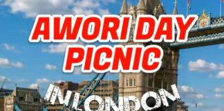 Awori Indigenes in Diaspora Set for Cultural Showcase at Awori Day Picnic 2027 in London