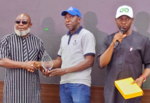 Road Safety Advocacy: Dangote wins Corporate Excellence Award
