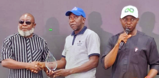 Road Safety Advocacy: Dangote wins Corporate Excellence Award