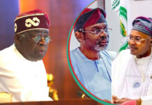 Presidency Declares PFIPC Non-Existent, Orders ICPC Investigation as Senate Distances Itself
