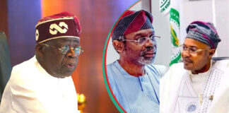 Presidency Declares PFIPC Non-Existent, Orders ICPC Investigation as Senate Distances Itself