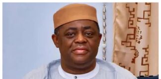 Fani-Kayode Pledges Support for Tinubu’s Renewed Hope Agenda Before Diplomatic Assignment