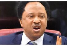 Abacha’s Death: Shehu Sani Rejects Ex-DSS Officer’s Account