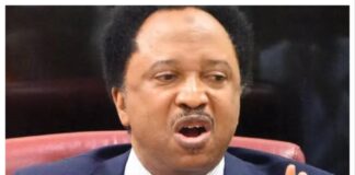 Abacha’s Death: Shehu Sani Rejects Ex-DSS Officer’s Account