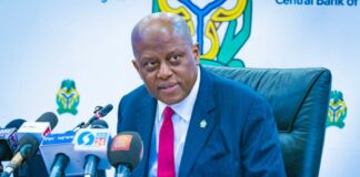 CBN Eyes Stronger Economy, Sets $1bn Diaspora Remittance Goal After Banking Reforms