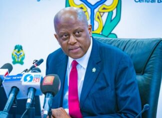 CBN Eyes Stronger Economy, Sets $1bn Diaspora Remittance Goal After Banking Reforms