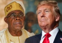 Opposition Questions Authenticity, Significance of Trump’s Reported Commendation to Tinubu