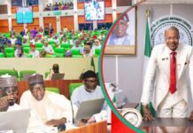 Accountant-General Explains Treasury’s Dealings as Reps Probe Fake Investment Council