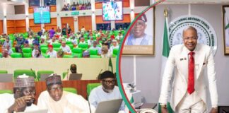 Accountant-General Explains Treasury’s Dealings as Reps Probe Fake Investment Council