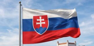 Slovakia Announces New Visa and Work Permit Rules for Foreign Workers, Students