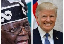 Trump Praises Tinubu, Pledges Stronger US Support in Nigeria’s Fight Against Terrorism