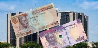 CBN Warns Nigerians Against Rejecting Standard N100 Note, Threatens Enforcement