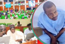 House Probe: Businessman Recounts How Alleged Fake DG Lured Him into N400m Contract Scam