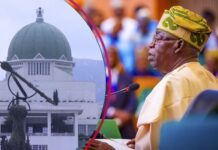Nigeria’s Democracy in Danger, Lawmakers Tell Akpabio, Abbas to Reconvene Chambers