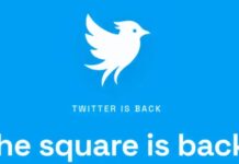 ‘We’re Not Waiting Anymore’: Startup Revives Twitter Name Amid X Trademark Fight