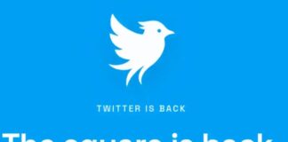‘We’re Not Waiting Anymore’: Startup Revives Twitter Name Amid X Trademark Fight