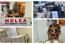 NDLEA Busts Major Drug Shipments, Recovers 47,200 Captagon Pills, 728kg Skunk