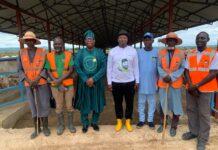 Adron Group Partners with Niger Foods Breeding and Feedlot Center to Explore Structured Agricultural Development