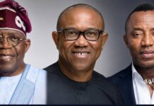 2027 Elections: Tinubu, Obi, Sowore Sign Peace Accord as Campaigns Begin