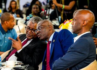 Dangote Refinery IPO: Global Leaders Rally Behind Plan to Democratise Africa’s Industrial Wealth