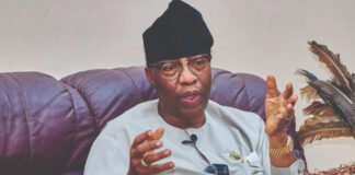 Nigeria Cannot Achieve Lasting Security Without a Strong Economy – Senator Gbenga Daniel
