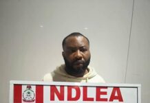 NDLEA Busts Cocaine Plot: Man Arrested With 72 Wraps Bound for Portugal as 2.55m Pills Seized