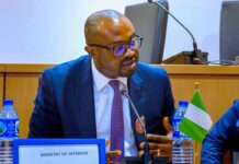 Special Passport Intervention: Tunji-Ojo Reveals What Nigerians Should Pay in UK