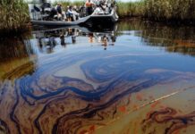 Niger Delta: Group Urges Probe of Multinationals Over Host Communities