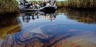 Niger Delta: Group Urges Probe of Multinationals Over Host Communities