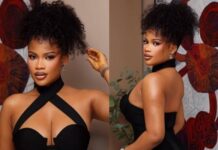 “I Never Knowingly Dated a Married Man” — Irewole Olaniyan Hits Back at Wife’s Affair Claims
