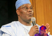 “Yahoo-Yahoo Subsidy”: Atiku Accuses Tinubu of Copying His Fuel Plan, Govt Fires Back