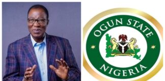 Gbenga Daniel’s Ogun Projects: The Legacy Behind the State’s Industrial Transformation