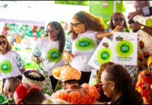 How Globacom Helped Transform Onitsha’s Ofala Festival Into a Global Cultural Showcase